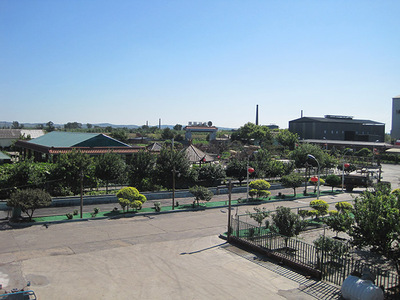 IMG_6080.jpg