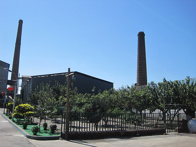 IMG_6076.jpg