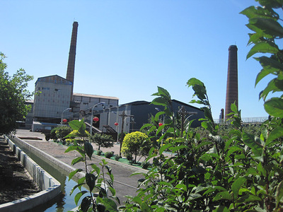 IMG_6071.jpg