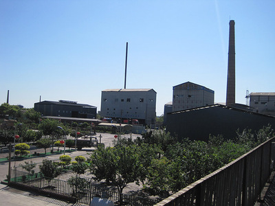IMG_6087.jpg